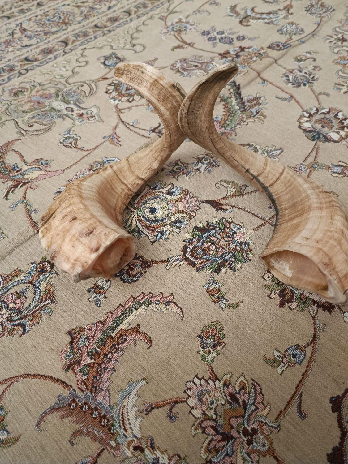 شاخ|صنایع دستی و سایر لوازم تزئینی|تهران, فلاح|دیوار