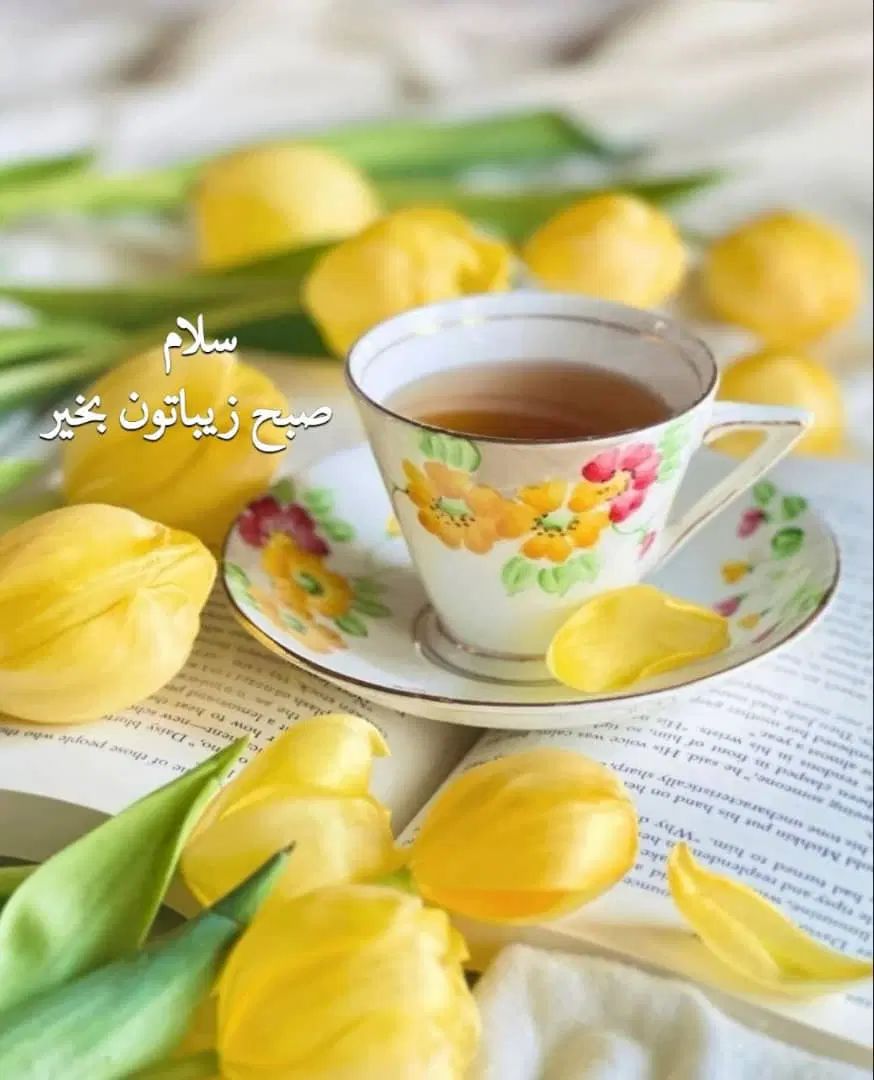 فروش ۸سال  اقامت هتل پنج ستاره قیمت بسیار پایین|تور و چارتر|رشت, گلباغ نماز|دیوار