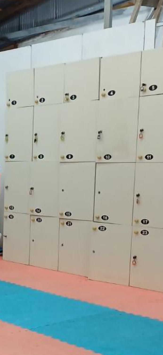 فروش کمد رختکن باشگاهی|جاکفشی، کمد، دراور|رشت, لاکانی|دیوار