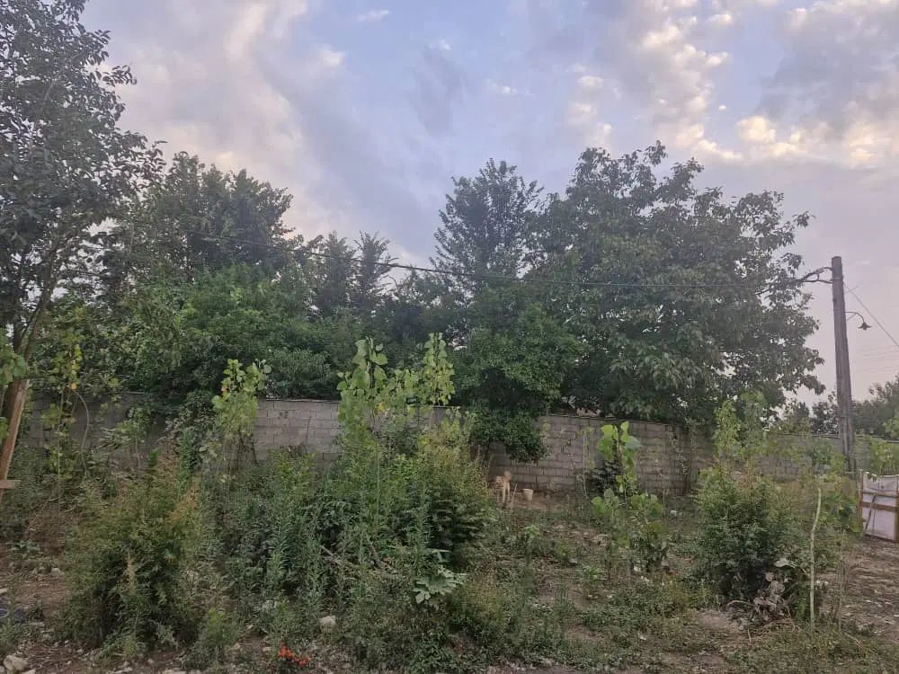 زمین مسکونی ۲۴۲ متر|فروش زمین و ملک کلنگی|رشت, پسیخان|دیوار