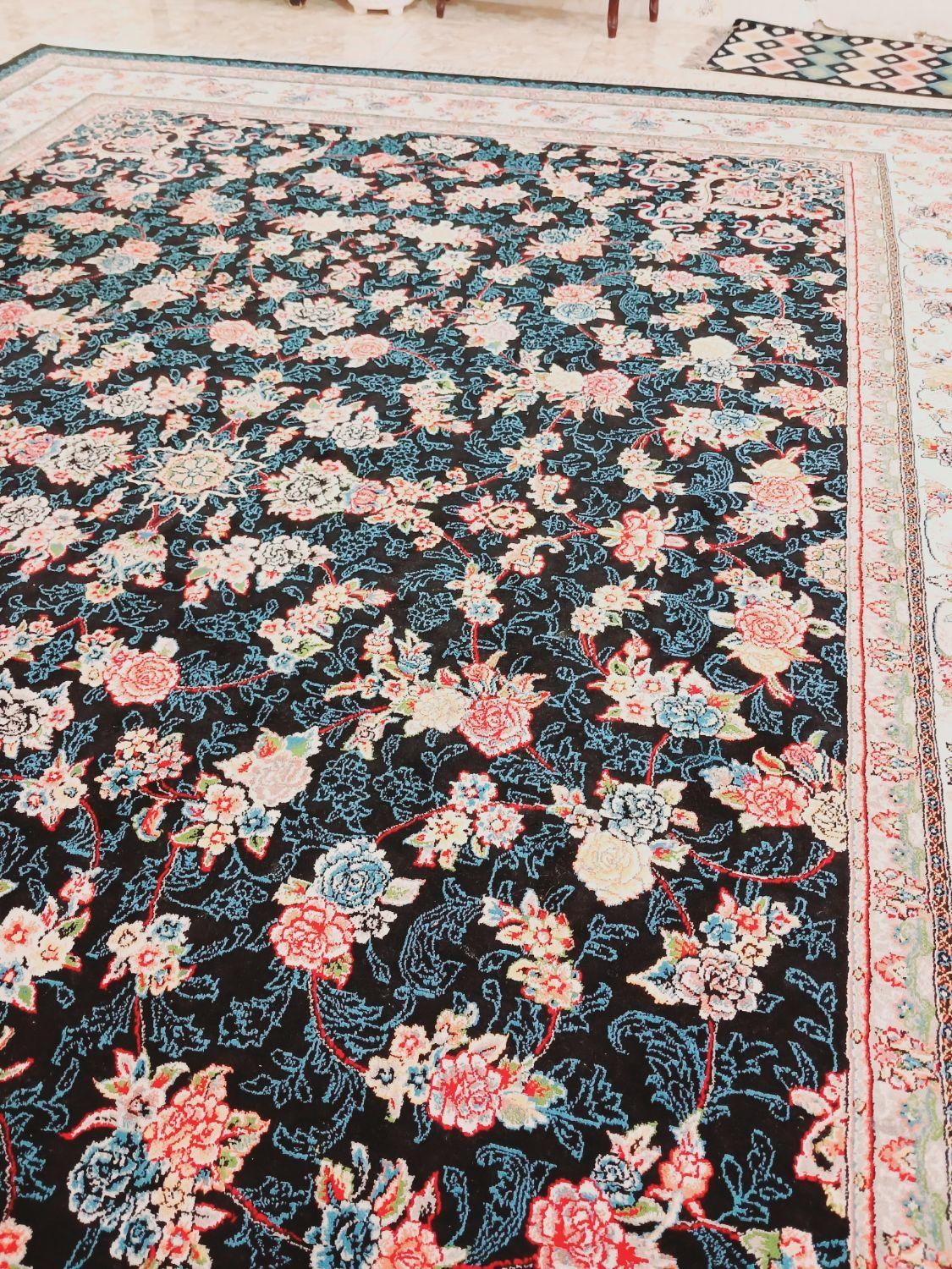 قالی ۱۲متری نونو|فرش|شیراز, تاچارا|دیوار