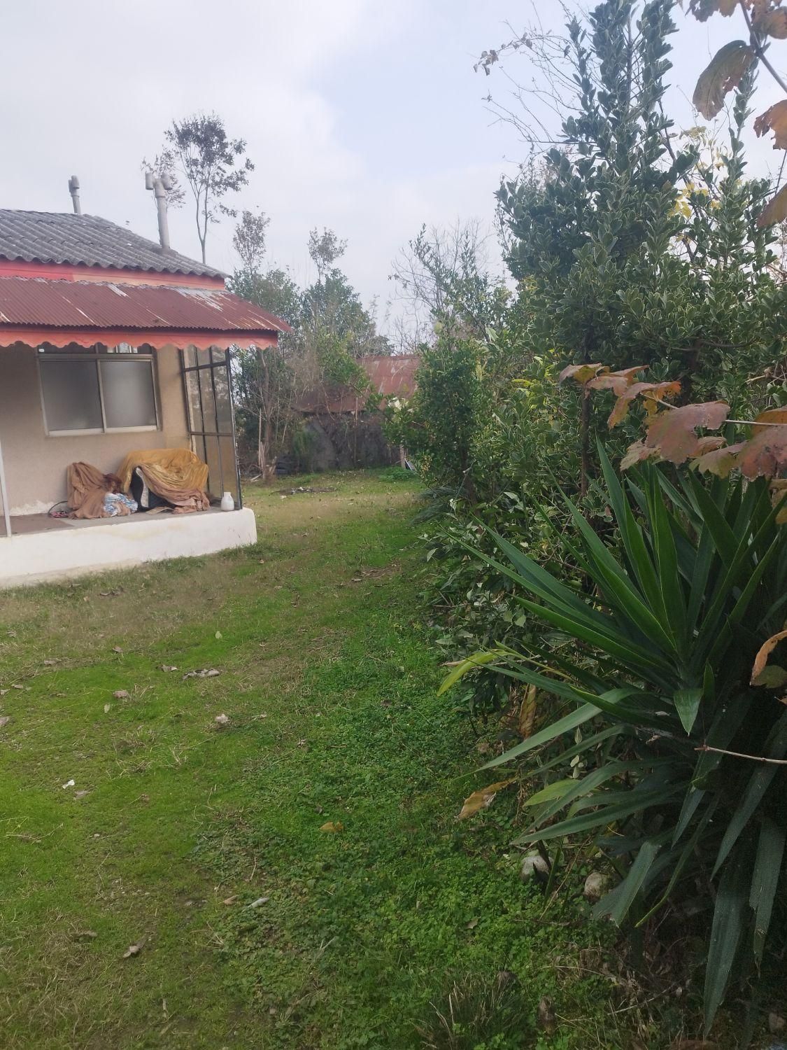 ۵۰۰مترزمین۱۰۰متربنادردل طبیعت|فروش خانه و ویلا|رضوانشهر, |دیوار