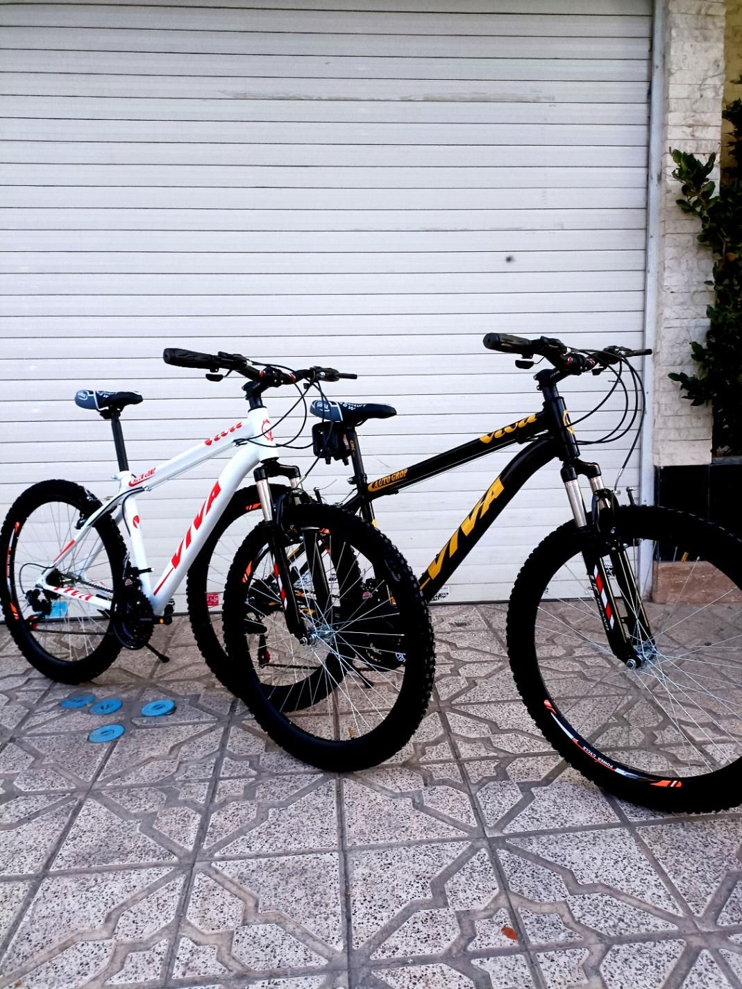 دوچرخه رنگارنگ در شعبه مرکزی نو اکبند|دوچرخه، اسکیت، اسکوتر|مشهد, جاهد شهر|دیوار