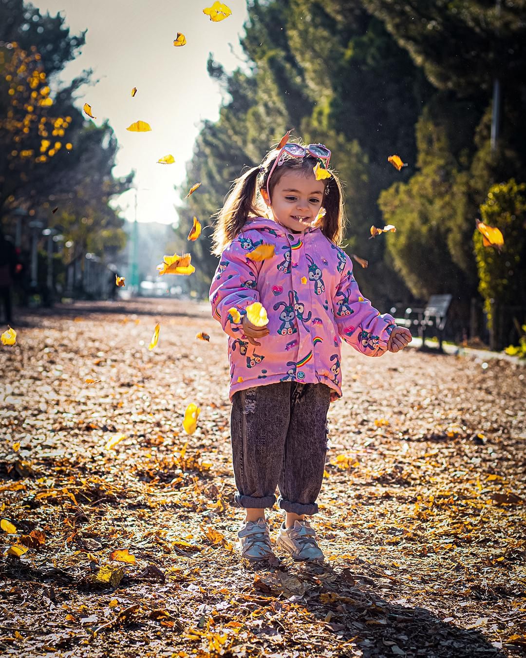 جشنواره عکاسی حرفه ای فضای باز (حراج استثنایی)|خدمات پذیرایی، مراسم|قم, شهرک قدس|دیوار