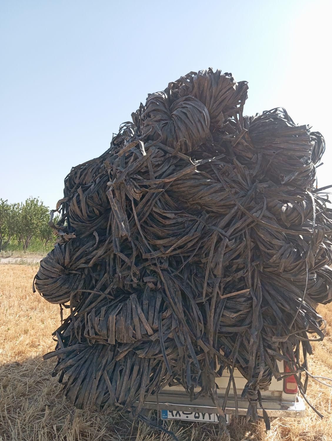 خرید و فروش انواع طیف محمدرضا علیزاده|حراج|اقبالیه, |دیوار