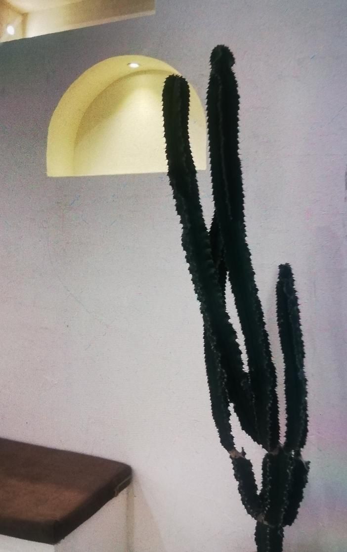 کلینیک لیزر موهای زائد (( آزاده لرکی))|خدمات آرایشگری و زیبایی|اهواز, کوی باهنر|دیوار