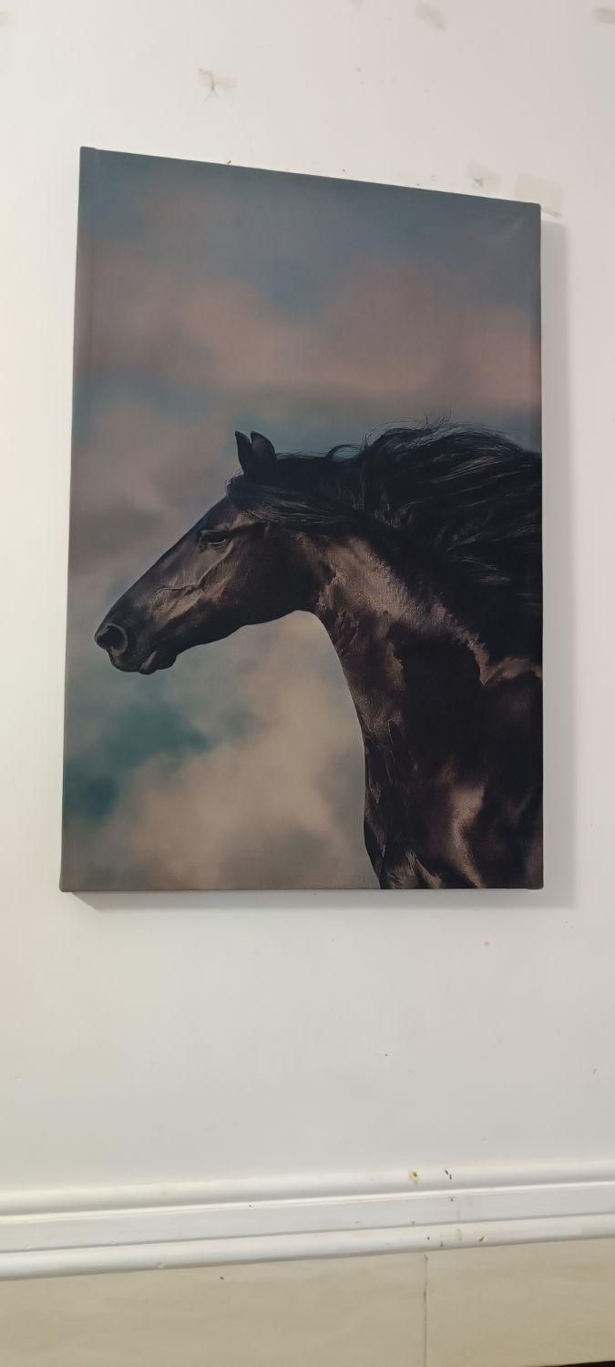 تعدادی تابلوی دیواری ابعاد یک در پنجاه سانت|تابلو، نقاشی، عکس|زابل, |دیوار