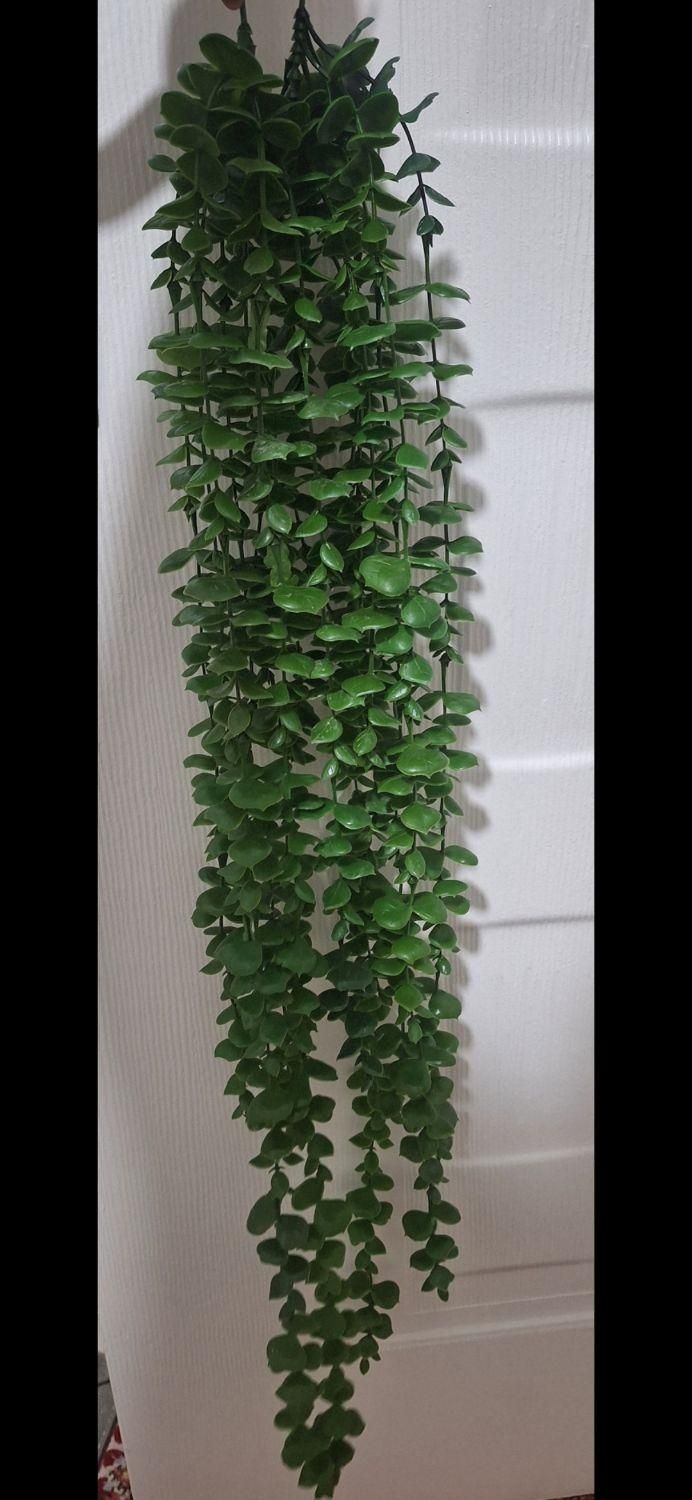 گل آویز شمشاد ۱۶ شاخه ای|گل مصنوعی|تهران, مقدم|دیوار