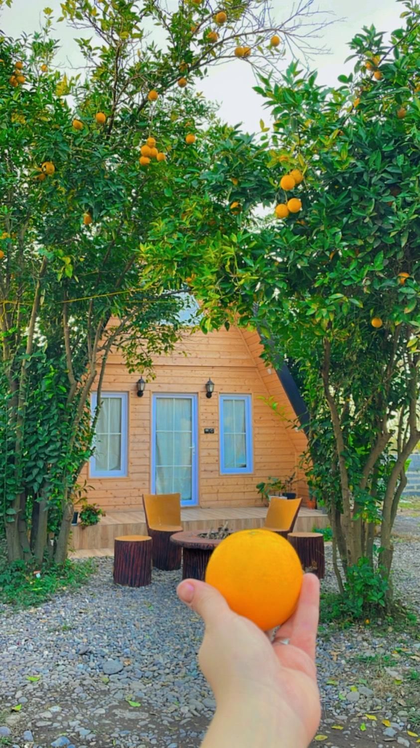 کلبه سوئیسی جکوزی دارِ گیله سو(با صبحانه رایگان)|اجارهٔ کوتاه‌مدت ویلا و باغ|کوچصفهان, |دیوار