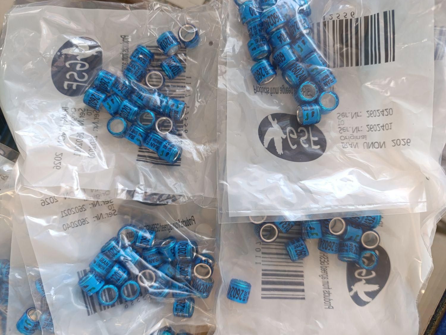 پلاک ملی کبوتر سال ۲۰۲۶|لوازم جانبی حیوانات|لنجان, |دیوار