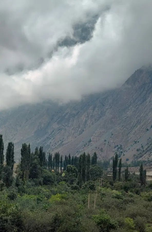 زمین۴۰۰۰ متر سند تک برگ رسمی نور مازندران|فروش زمین و ملک کلنگی|بلده, |دیوار