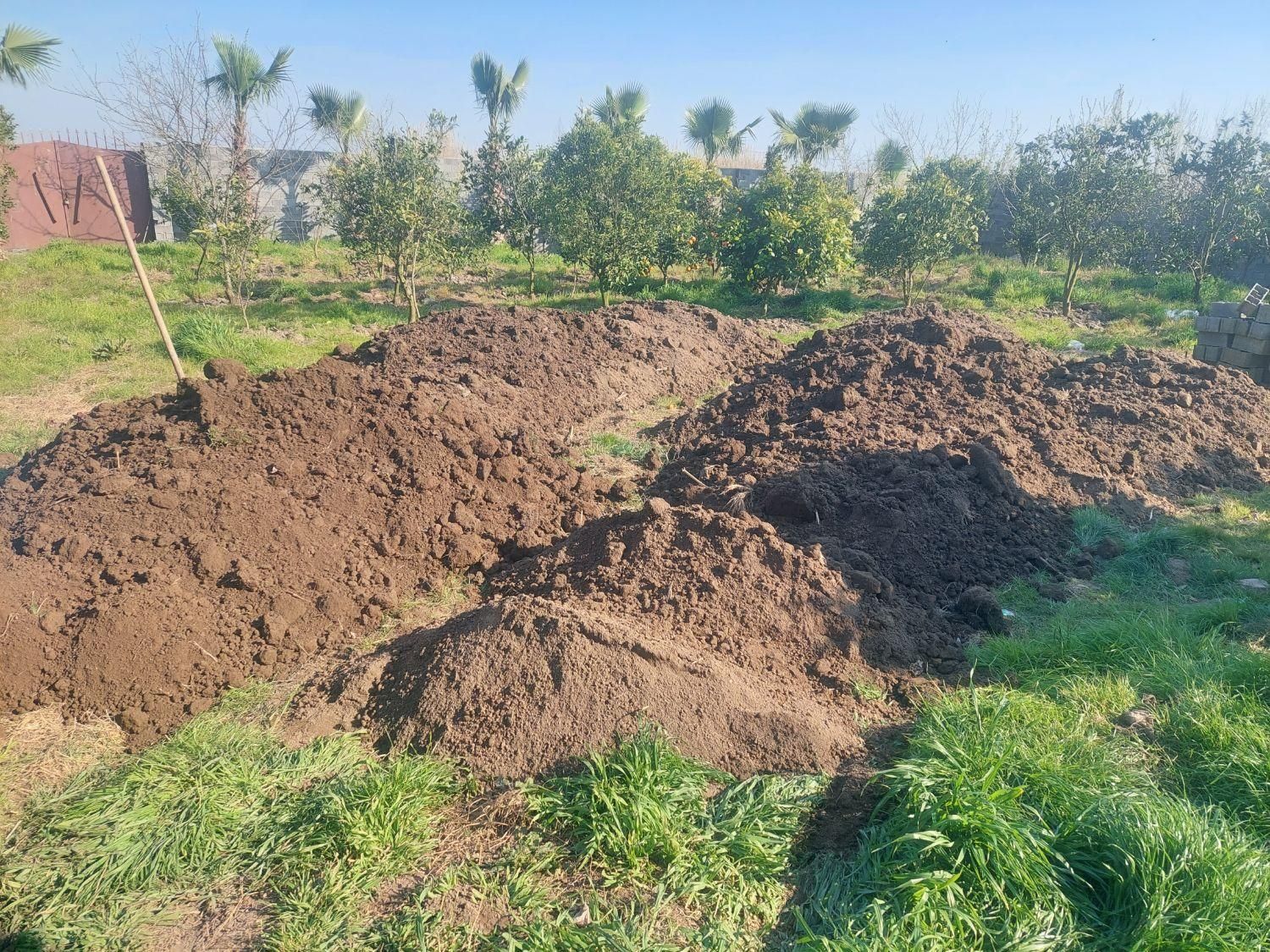 خاک باغچه ای درجه یک|خدمات باغبانی و درختکاری|محمودآباد, |دیوار