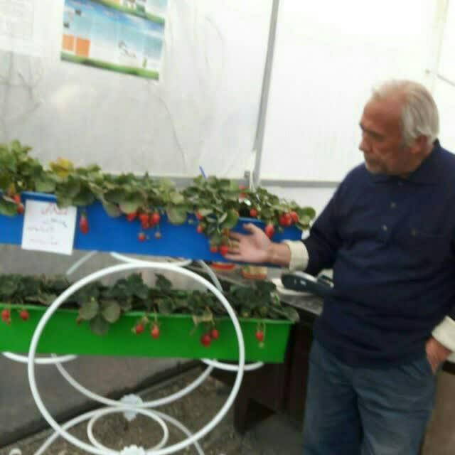کود معدنی چهار فصل . کمپوست . خاک برگ|خدمات باغبانی و درختکاری|مشهد, امیریه|دیوار