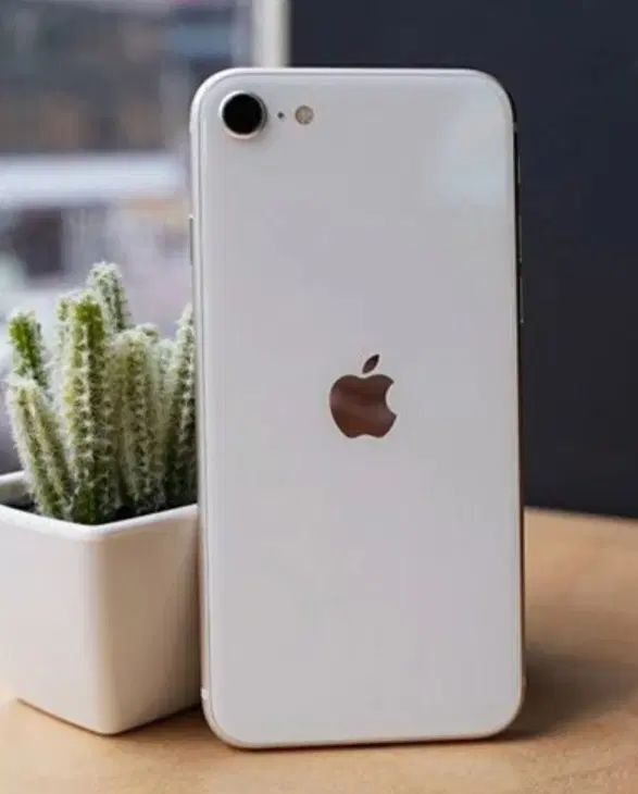اپل iPhone SE نو نسل ۳|موبایل|تهران, پونک|دیوار