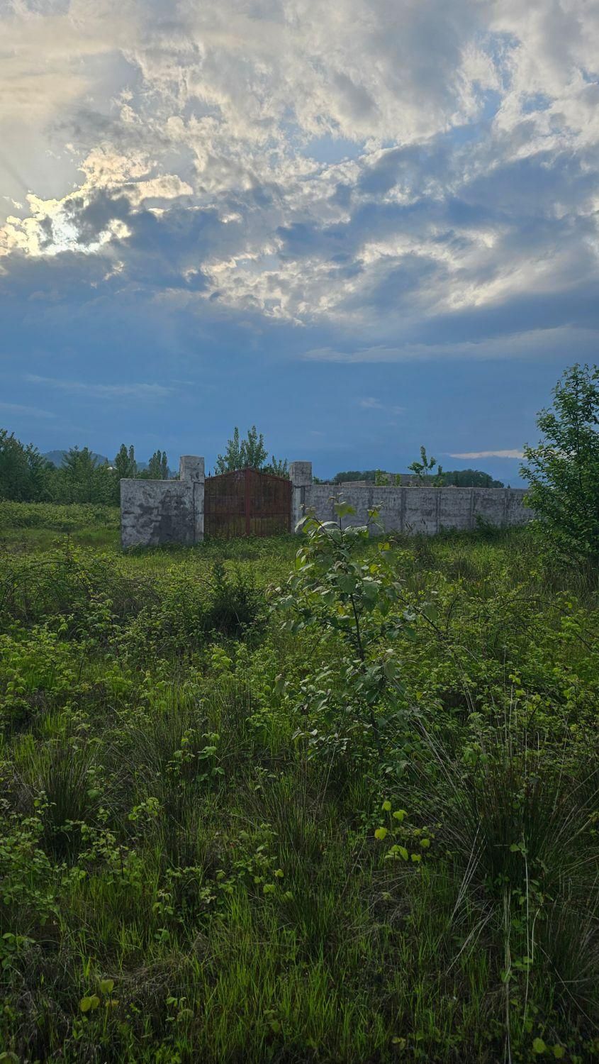 فروش زمین کنار دریا آستارا تک برگ قیمت مناسب|فروش زمین و ملک کلنگی|آستارا, |دیوار