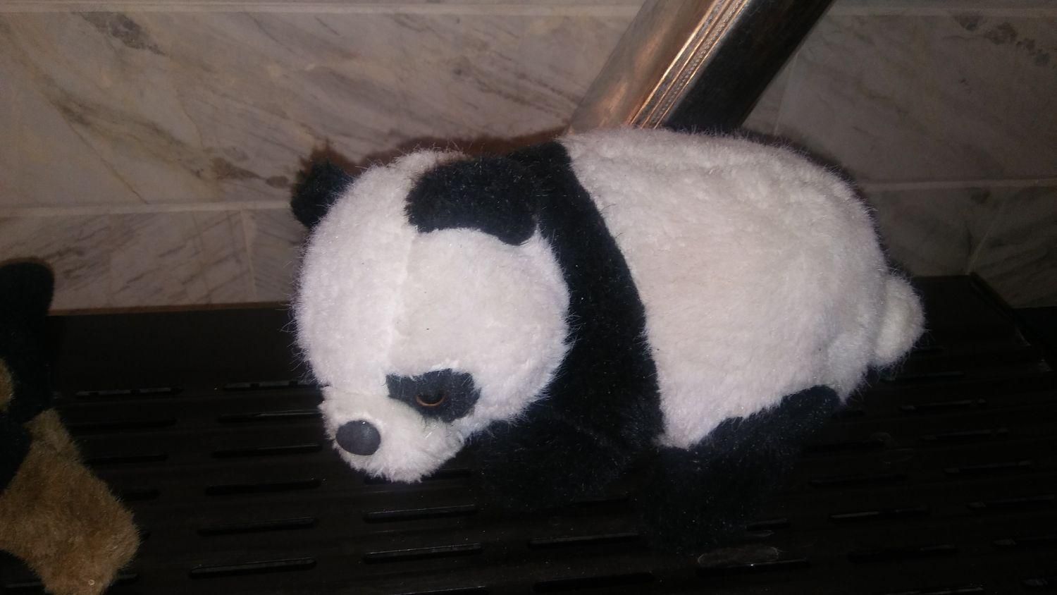 عروسک پولیشی|اسباببازی بچه|قم, شاه ابراهیم|دیوار