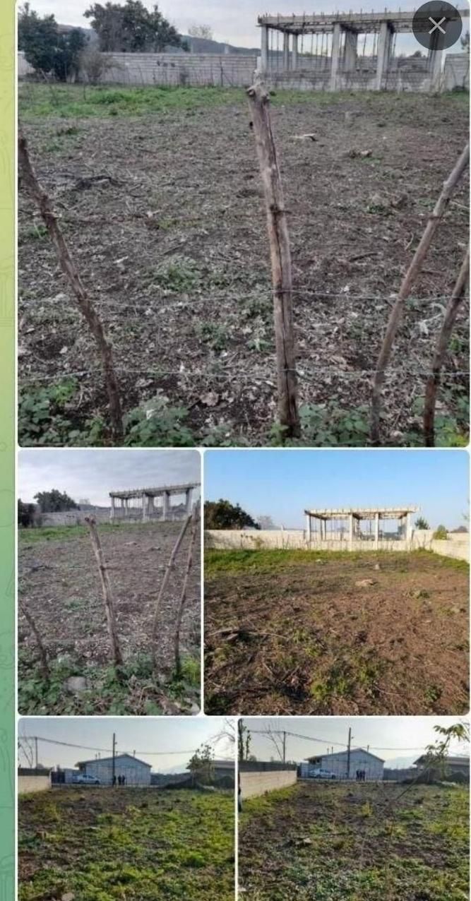 فروش ۴۵۲متر زمین مسکونی بره اسفالت|فروش زمین و ملک کلنگی|شاندرمن, |دیوار