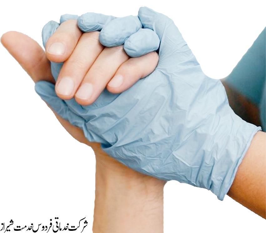 شرکت خدماتی فردوس خدمت شیراز سالمند/کودک/امورمنزل|خدمات نظافت|شیراز, زند|دیوار