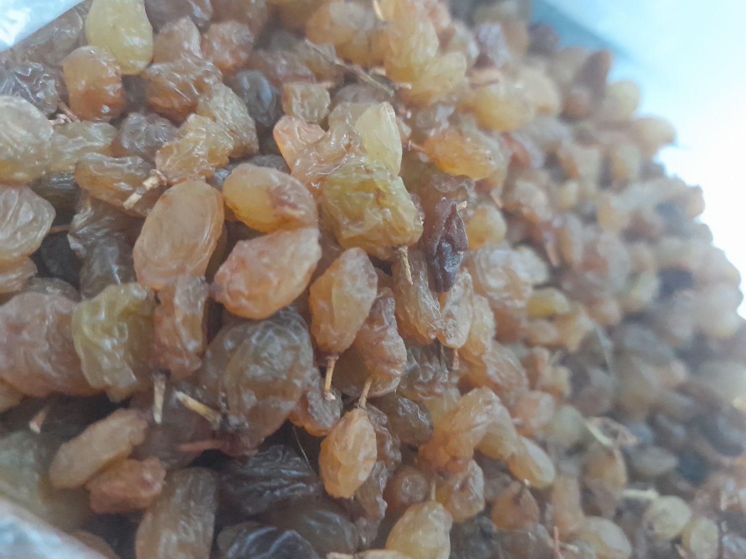 کشمش بادام|خوردنی و آشامیدنی|مشهد, بهمن|دیوار