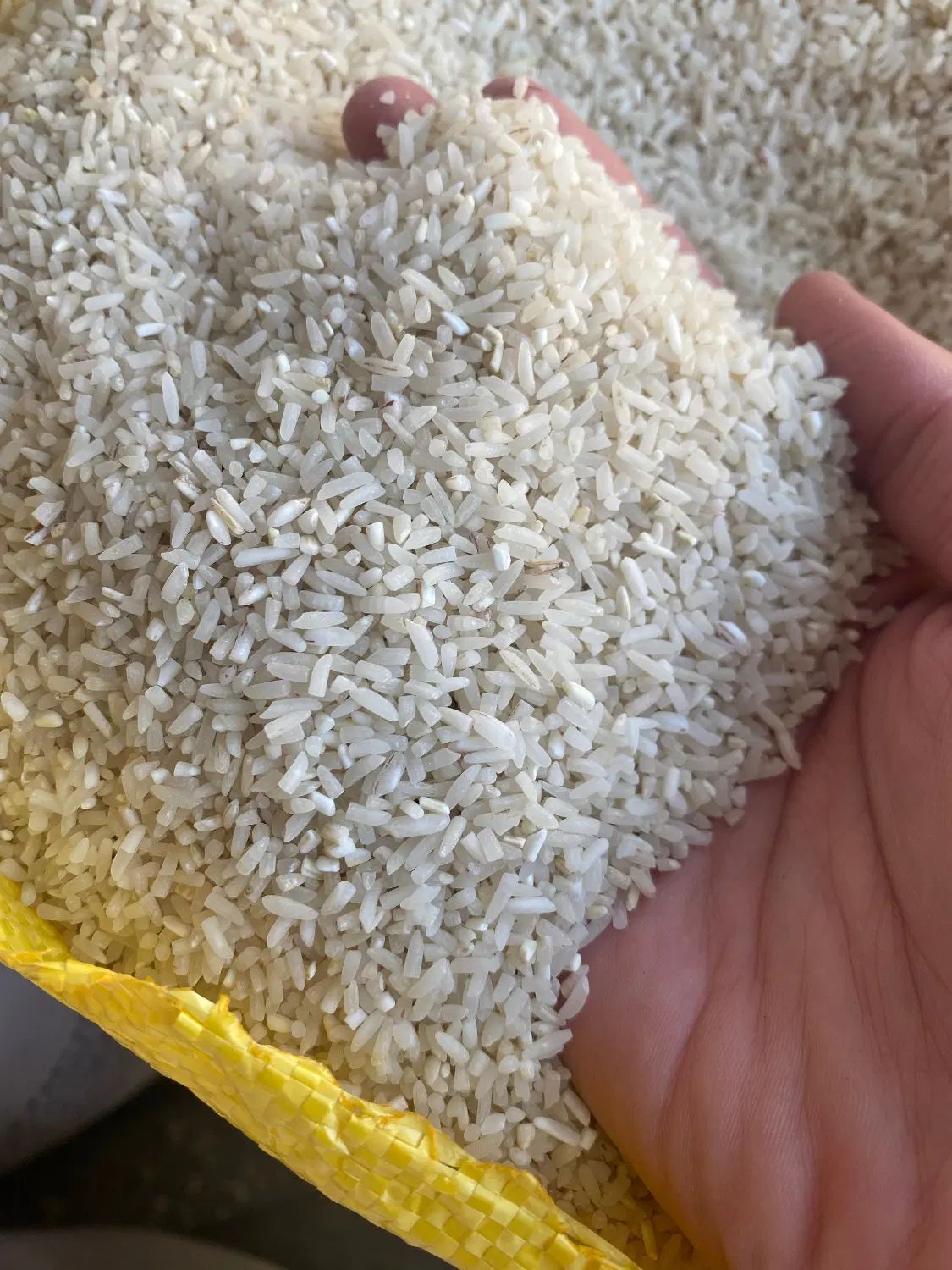 برنج نیمه دانه لاشه طارم زیر قیمت|خوردنی و آشامیدنی|مشهد, شهید آوینی|دیوار