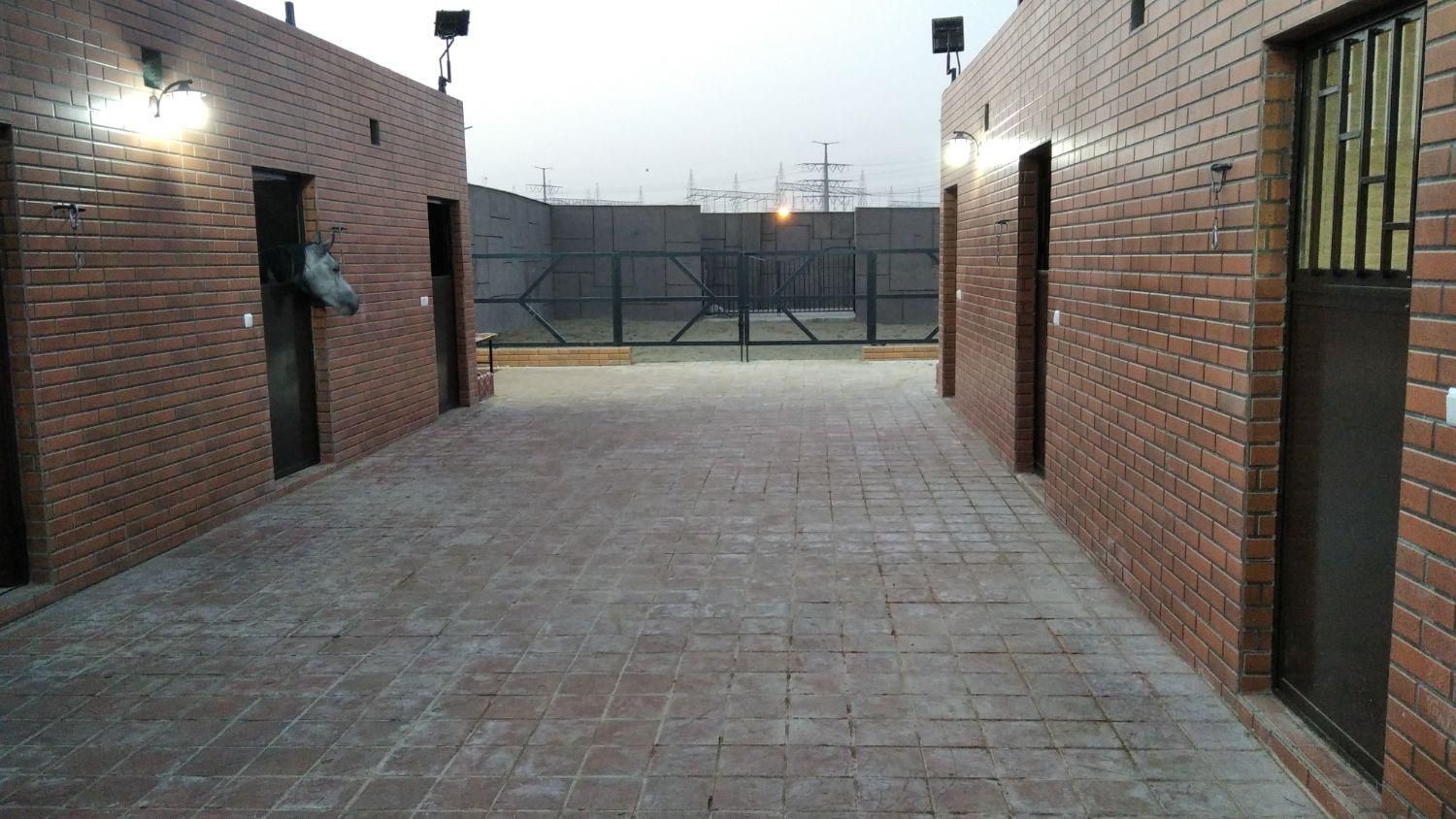 پانسیون و نگهداری اسب|خدمات پیشه و مهارت|اصفهان, خاتونآباد|دیوار