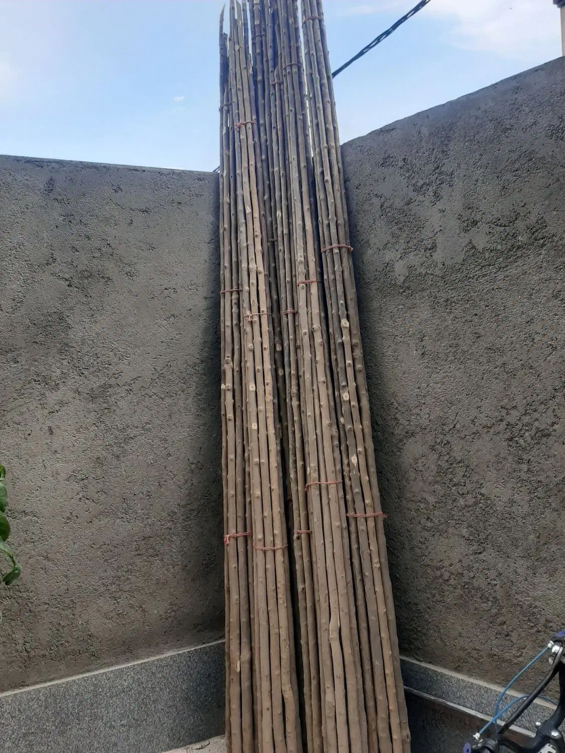 چوب بادام وگردوتکانی فروش به صورت کلی وجزئی|خدمات باغبانی و درختکاری|همدان, |دیوار