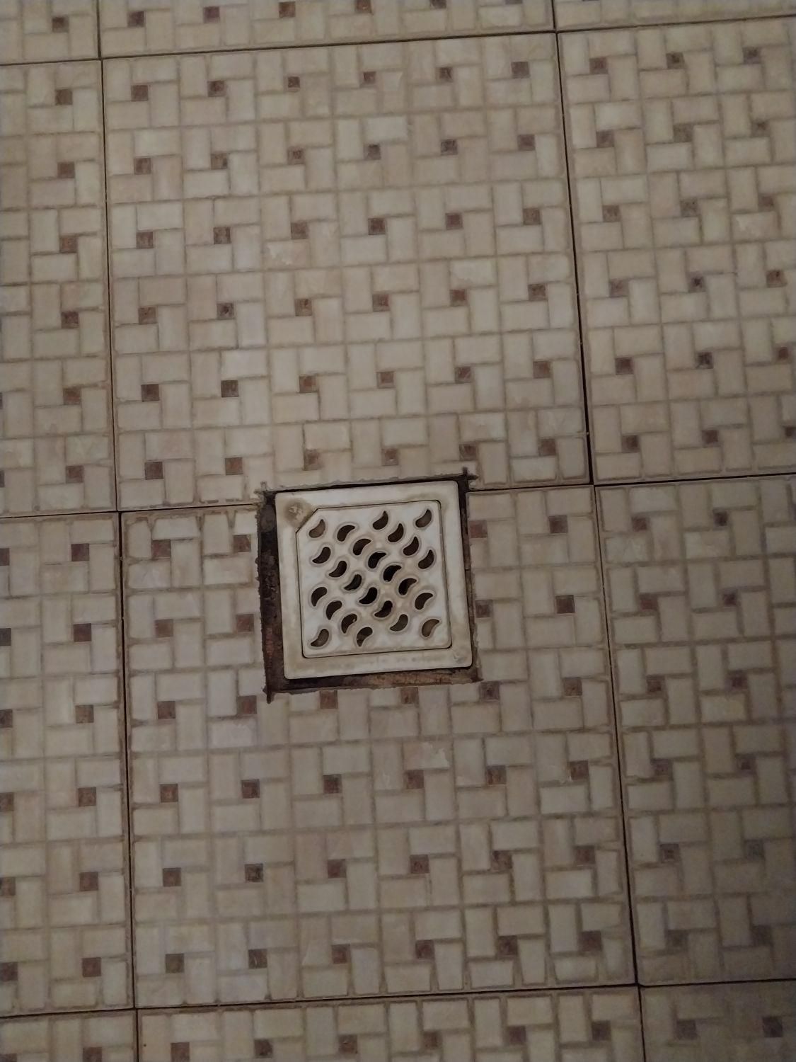 لوله بازکنی/ فاضلاب/ لوله بازکنی|خدمات پیشه و مهارت|شوشتر, |دیوار