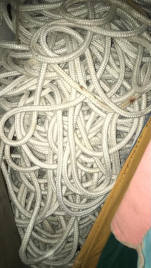 تور ماهیگیری|ماهیگیری|بندر کنگان, |دیوار