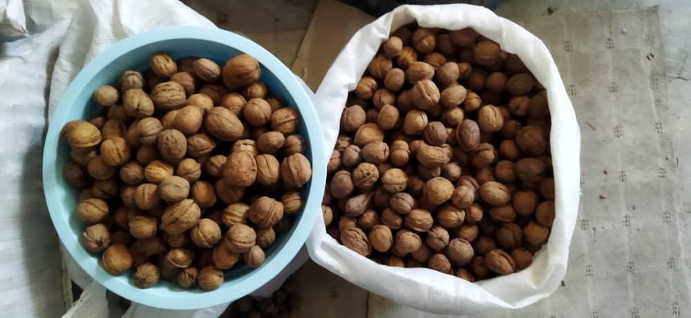 گردوی آذربایجان|خوردنی و آشامیدنی|تهران, گیشا|دیوار