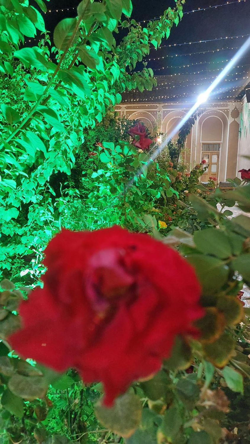 استخدام نیروی ساده خانم برای رستوران سنتی تفت|استخدام خدمات فروشگاه و رستوران|یزد, |دیوار