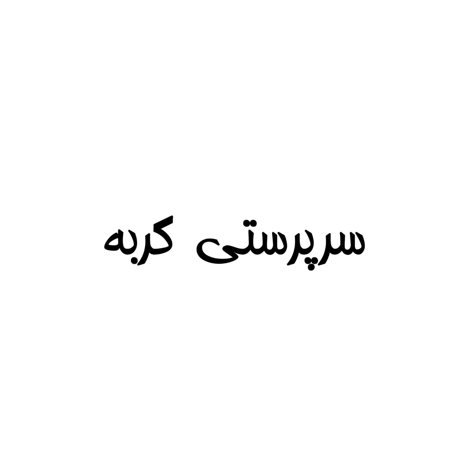 سرپرستی گربه اسکاتیش و بریتیش|گربه|تهران, دانشگاه تهران|دیوار