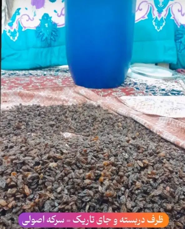 مرکز فروش کشمش آبگیری،کشمش سبز و طلایی،شیره انگور|خوردنی و آشامیدنی|تهران, شهران جنوبی|دیوار