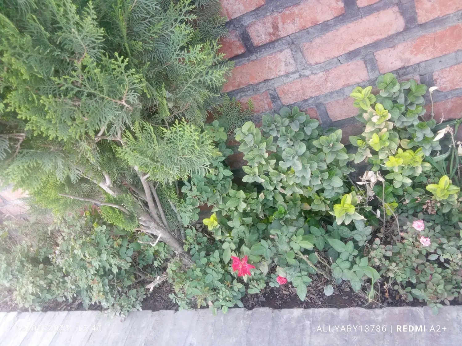 null