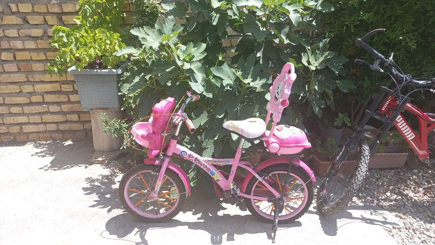 دوچرخه سالم بدون هیچ مشکلی رنگ دوچرخه خوش سالم|دوچرخه، اسکیت، اسکوتر|تاکستان, |دیوار