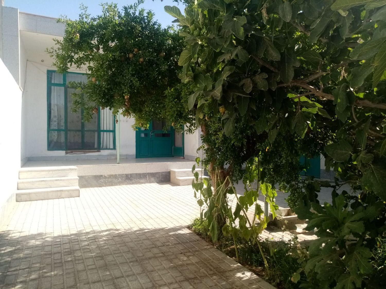 تصویر 2