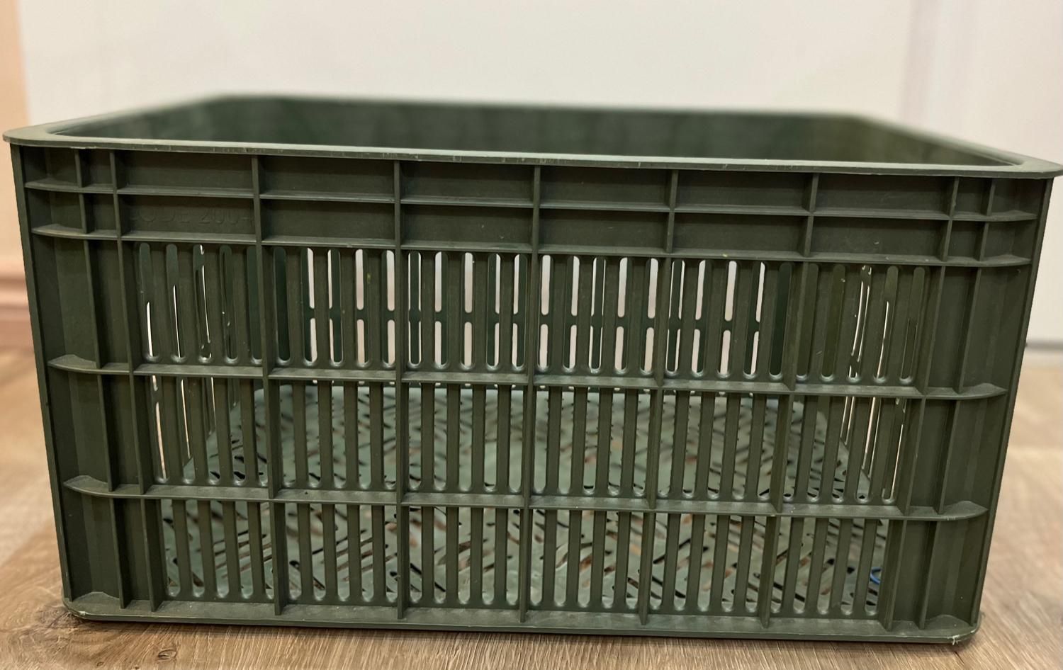 سبد ۲۰ کیلویی سردخانه ایی|عمدهفروشی|گرگان, |دیوار