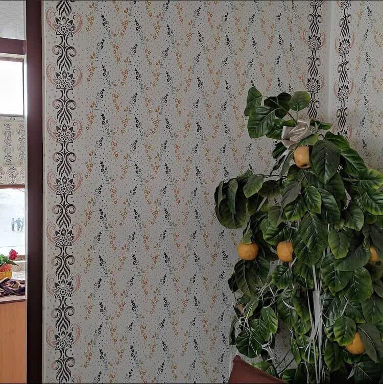 رنگ کاری.طرح کاغذدیواری.نقاشی|خدمات پیشه و مهارت|قم, الوندیه و گذر صادق|دیوار