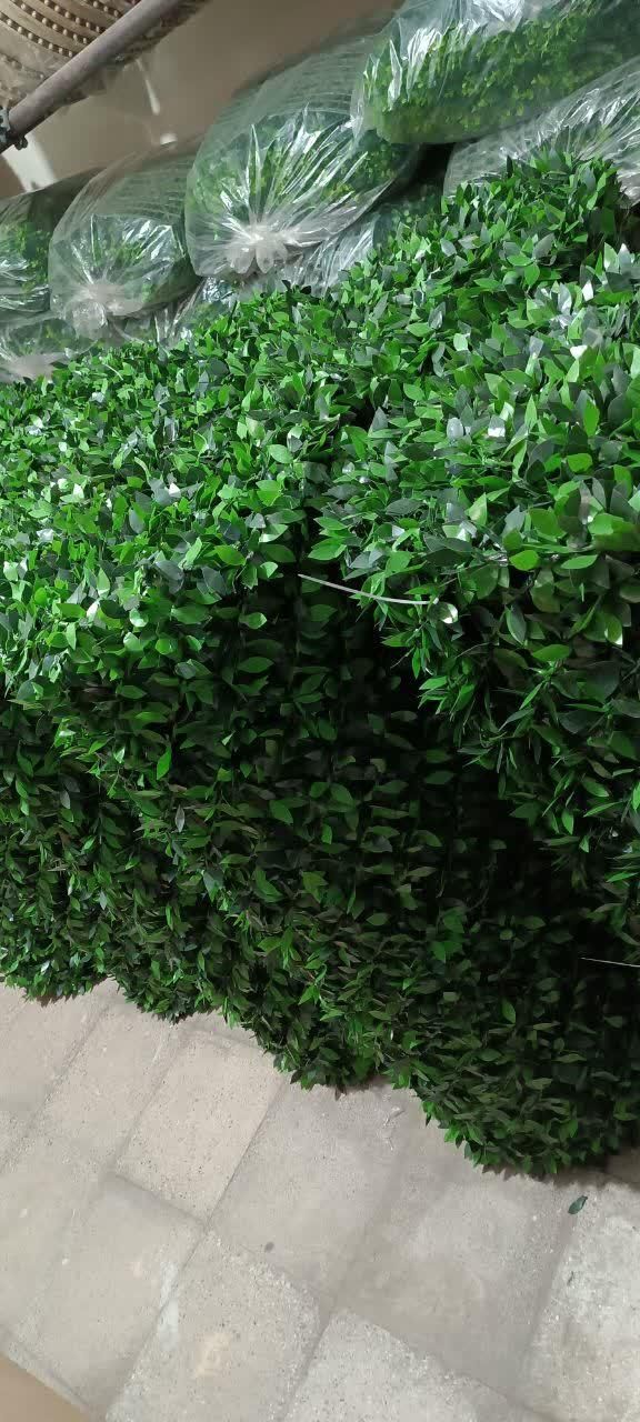 دیوارسبز . آکاردائونی .چمن مصنوعی . گرین وال|خدمات باغبانی و درختکاری|نجف‌آباد, گلدشت|دیوار