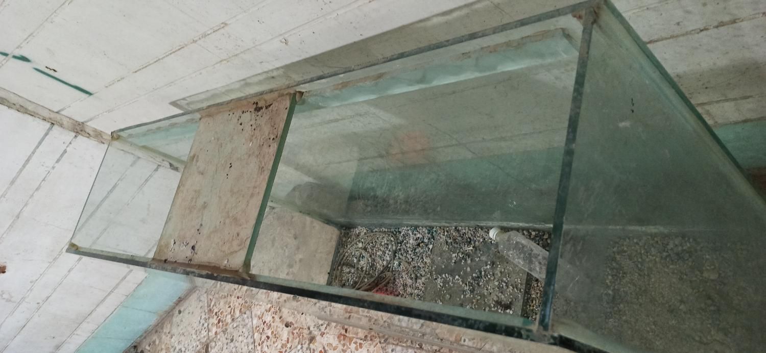 آکواریوم|ماهی|اهواز, کمپلو جنوبی|دیوار