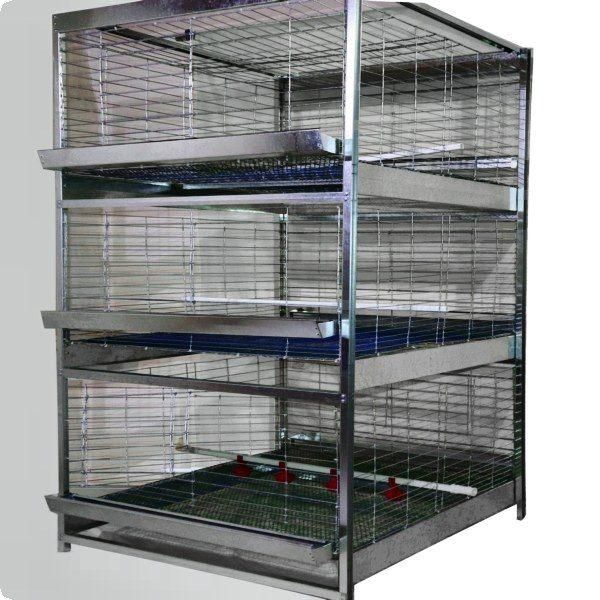 %پرورش-قفس.جوجه%یک روزه تا نیمچه مرغ بومی و صنعتی|لوازم جانبی حیوانات|بابل, |دیوار