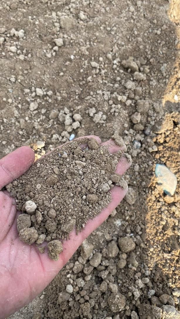 خاک باغچه نیسانی در شهریار-اندیشه-شهریار-ملارد|خدمات باغبانی و درختکاری|اندیشه, اندیشه فاز ۳|دیوار