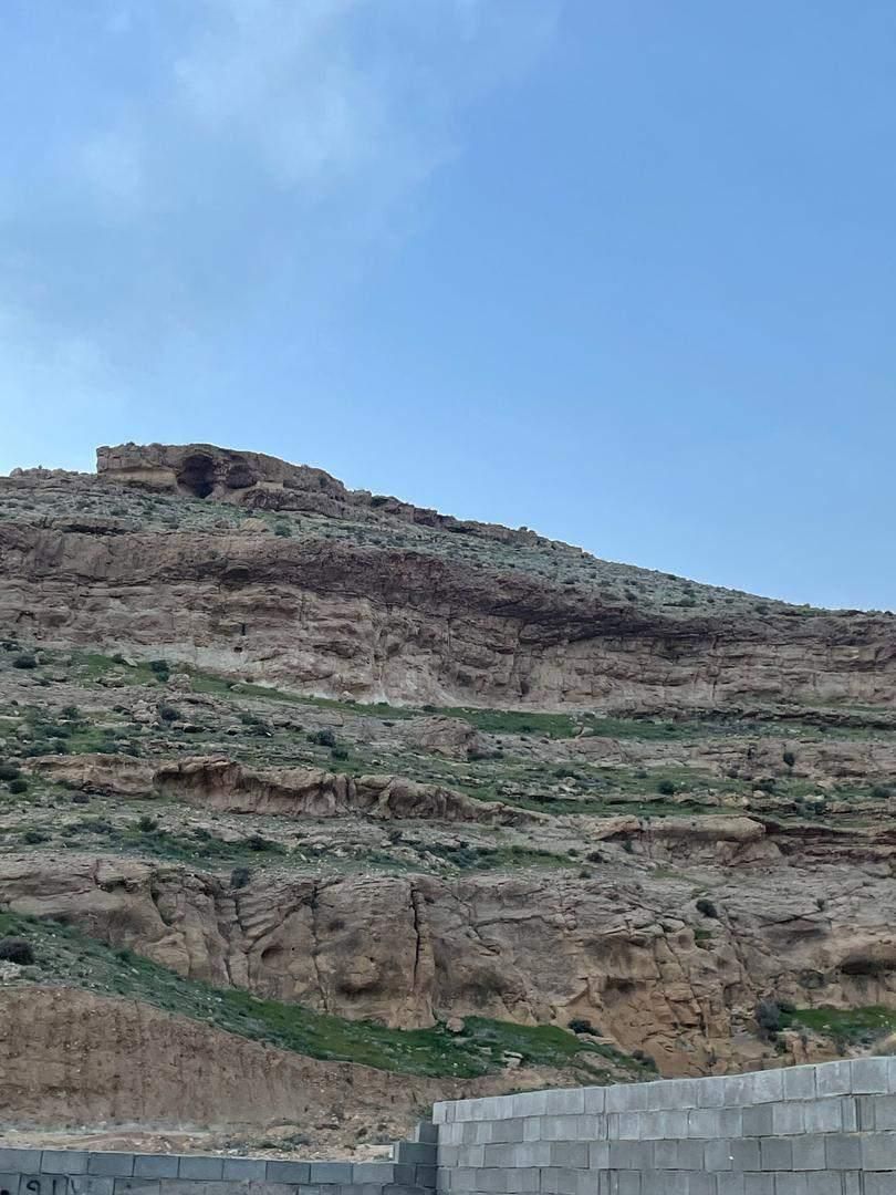 زمین باغ شهری دیوارکشی و درب|فروش زمین و ملک کلنگی|شیراز, بید زرد|دیوار
