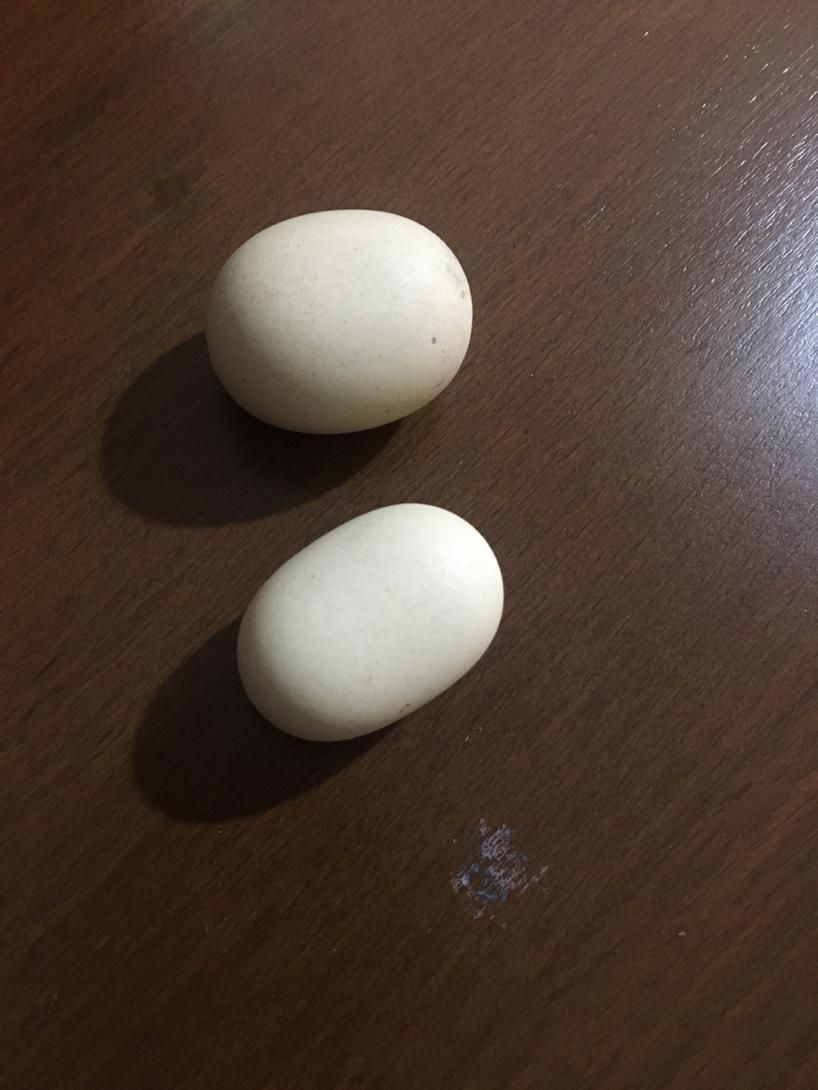 سنگ آسیاب(سنگ الماس)|جواهرات|رشت, رشتیان|دیوار