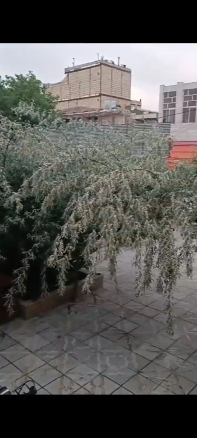 اجاره روزانه ویلایی آپارتمان تمیز برای زائر ۳۵ نفر|اجارهٔ کوتاه‌مدت آپارتمان و سوئیت|مشهد, گاز|دیوار