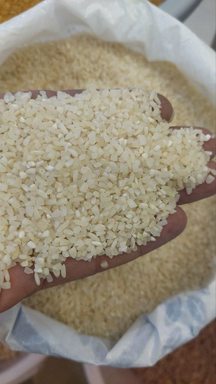 برنج کامفیروزی. زرشک|خوردنی و آشامیدنی|شیراز, شهرک گلها|دیوار