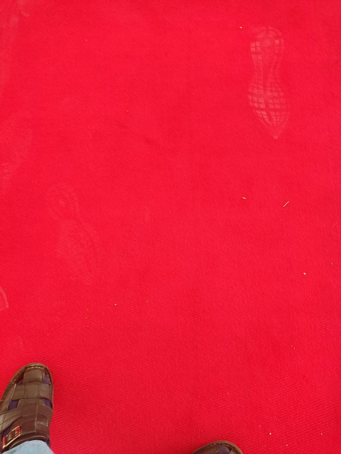 موکت ظریف مصور|موکت|مشهد, گاز|دیوار