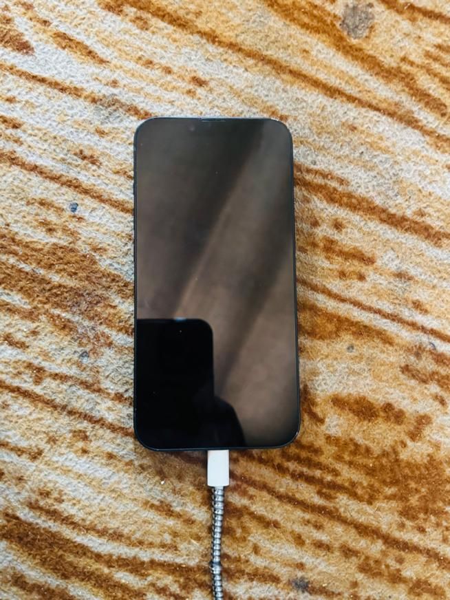 اپل iPhone 13 با حافظهٔ ۱۲۸ گیگابایت|موبایل|یاسوج, |دیوار