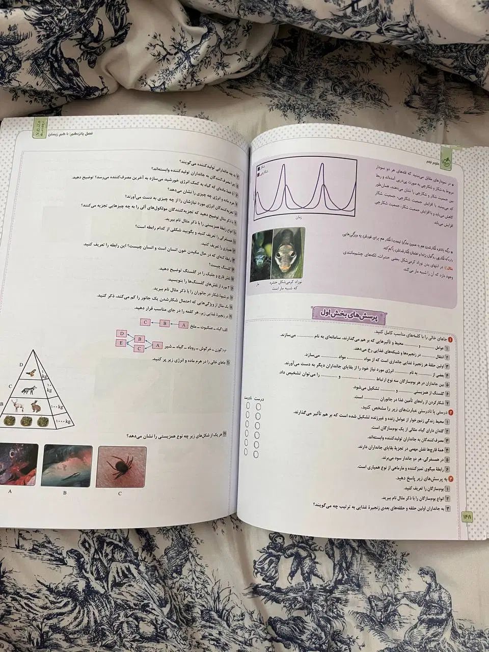 کتاب علوم نهم|کتاب و مجله آموزشی|کرج, بنیاد|دیوار