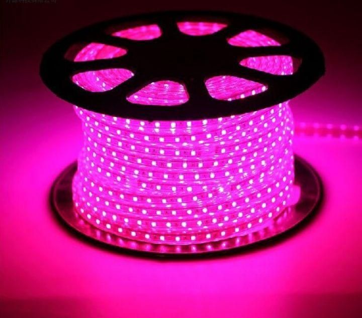 لامپ رشد گیاه|خدمات باغبانی و درختکاری|اراک, |دیوار