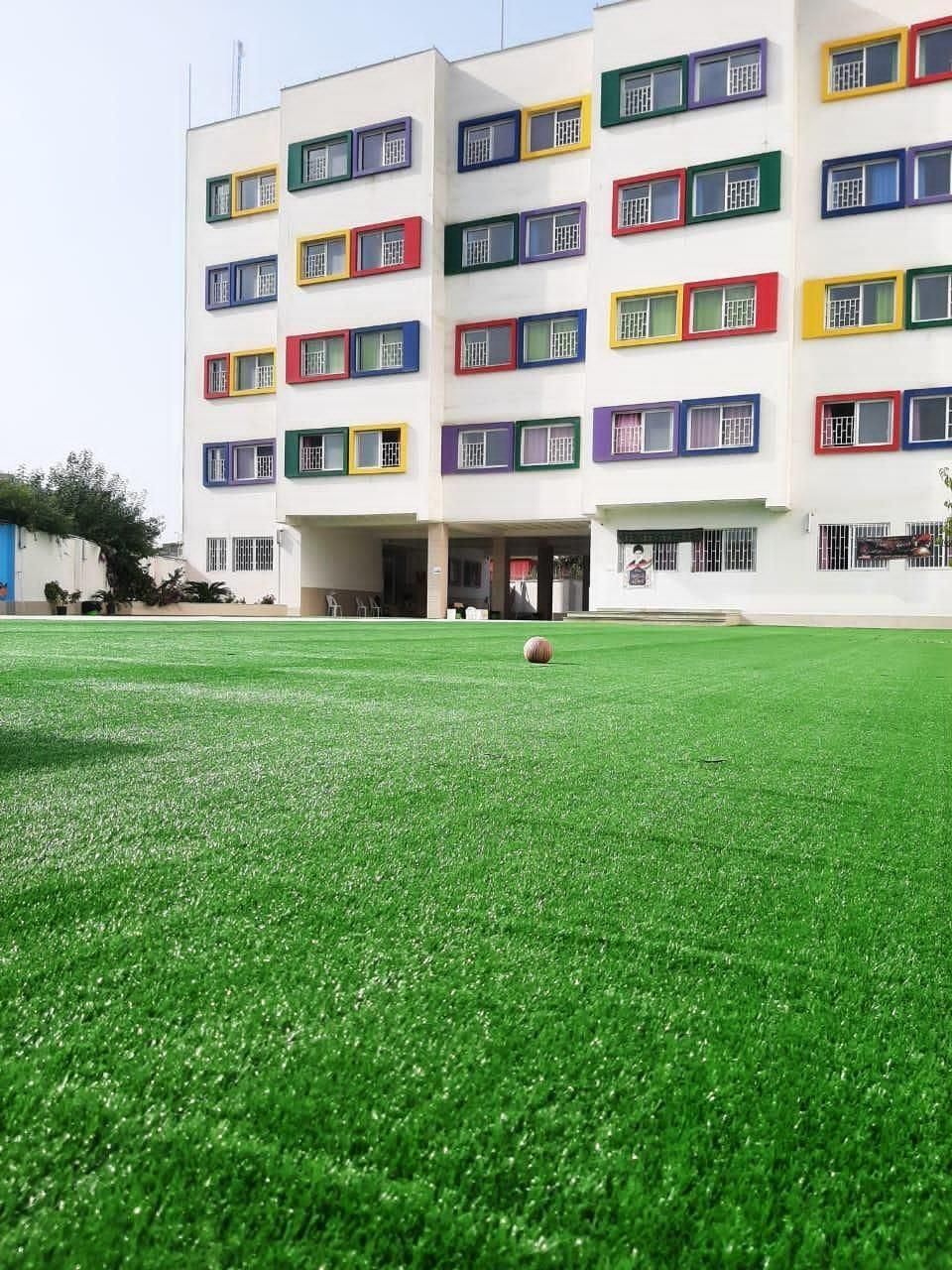 چمن ویژه مدارس با نصب تخصصی|مصالح و تجهیزات ساختمان|شیراز, گویم|دیوار